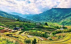 Sapa Sunlit Homestay & Travel